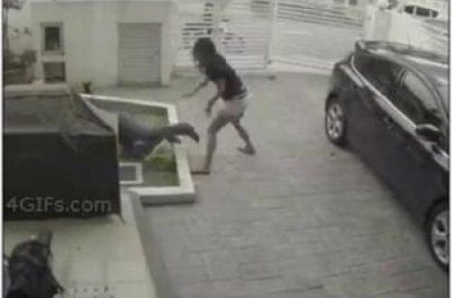 Qızın çantasını oğurlamaq istədi