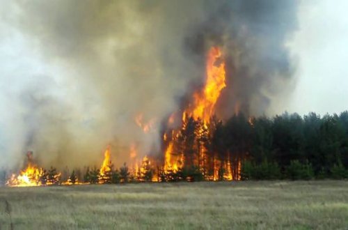 Şahdağda güclü yanğın