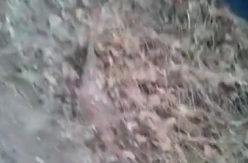 Öz həyatını dostunun qollarına həvalə etdi