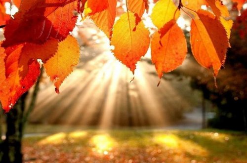 Bakıda 18 dərəcə isti olacaq