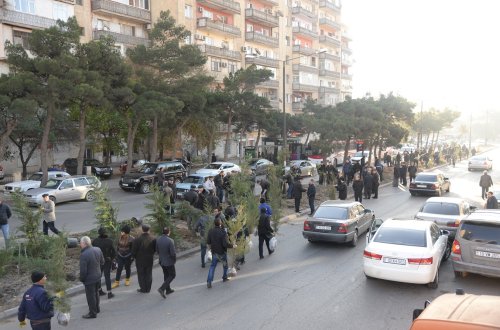 Nəsimi rayonunda ağacəkmə aksiyası keçirilib