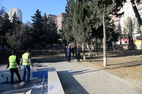 Nəsimi rayonunda Yaşıl Marafon layihəsi çərçivəsində ağacəkmə aksiyası keçirilmişdir