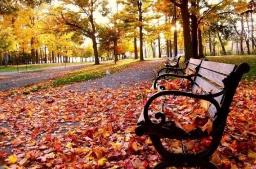 Bazar günü hava necə olacaq?