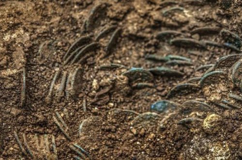 Albalı bağından xəzinə tapdı