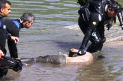 FACİƏ: Mərcə gəldilər, dəhşətli şəkildə öldülər