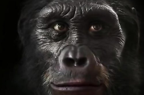 Son 6 milyon il ərzində insanın üzü necə dəyişib