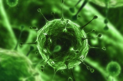 Yeni ölümcül xəstəlik yayılır