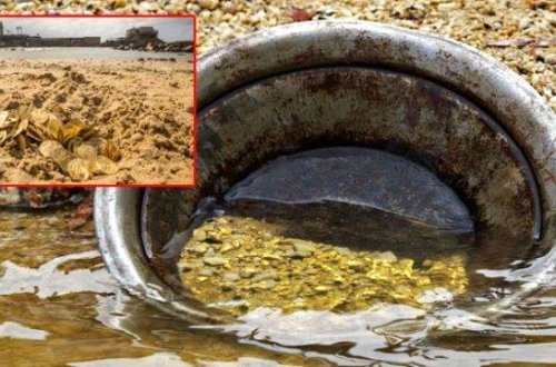 Dənizdən 470 ton qızıl tapıldı