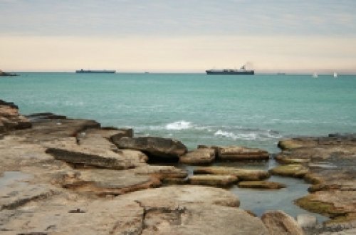 Rusiya Dövlət Duması Xəzər dənizinin bioresurslarının qorunmasına dair sazişi ratifikasiya edib