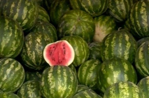 Qarpız zəhərlənmələrinin əsas səbəbi bilindi