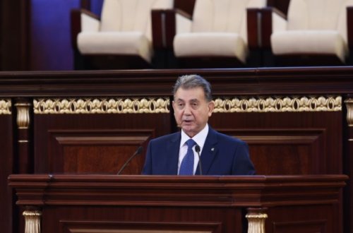 Akif Əlizadə prezidentin qarşısında nədən danışdı?