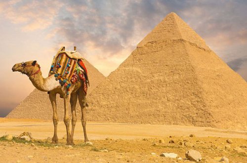 Daha bir nazirlikdən Misir