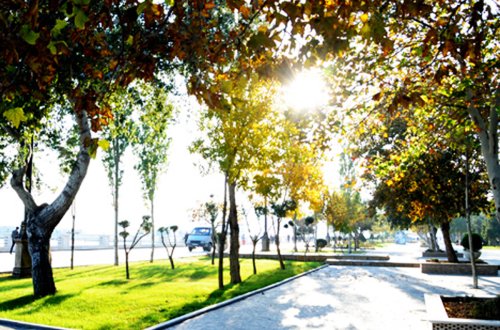 Sabah Azərbaycanda 21 dərəcə isti olacaq