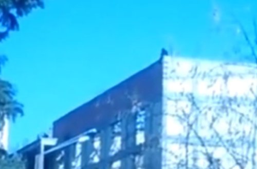 Yenə də eyni binaya qalxaraq özünü atmaq istəyir