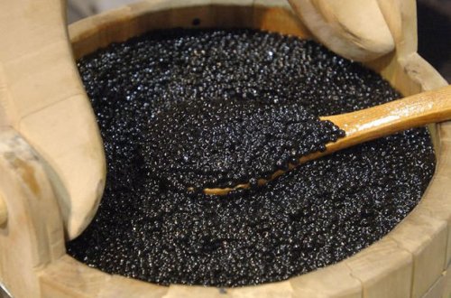 Gömrükdə əməliyyat: Külli miqdarda qara kürü və narkotik maddə saxlanıldı