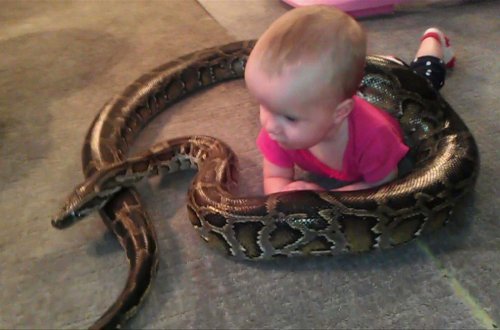 ŞOK HADİSƏ:  yaşyarımlı uşaq