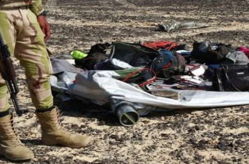 Misirdə “təyyarənin qəzaya uğradığı ərazidə yeni cəsədlər tapılıb