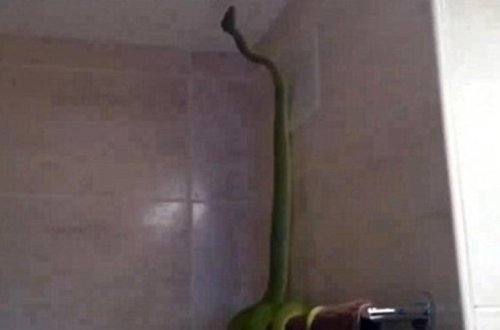 Vanna otağına girəndə şoka düşdülər