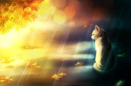 Sabahın hava proqnozu