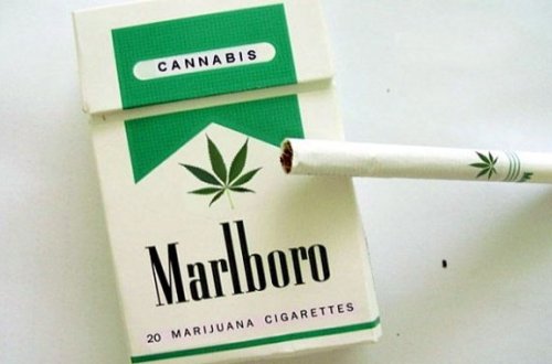 Marixuanalı siqaretlər artıq