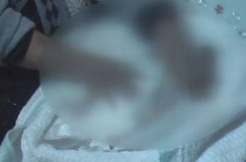 Ölən körpələrin meyiti necə səhv düşdü?
