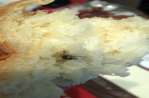 Gəncədə çörəyin içindən böcək çıxıb