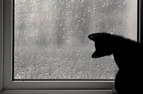 Yenə yağış yağacaq