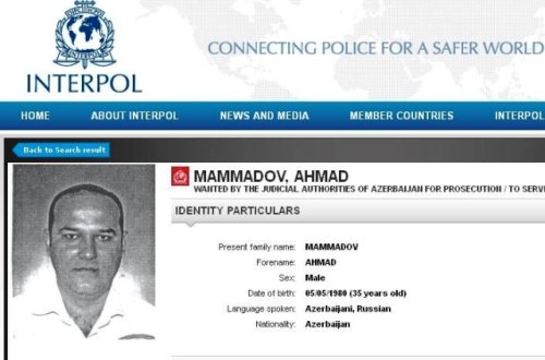 Şirkət rəhbəri axtarışa verildi