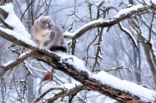 Bu gündən hava pisləşir