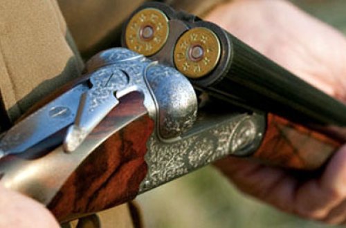 Kişi kredit borcuna görə bacısının ərini qətlə yetirdi