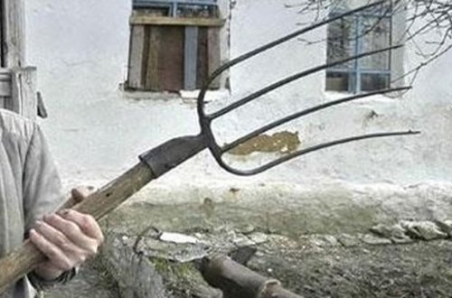 Azərbaycanda qayınata gəlini amansızlıqla öldürdü