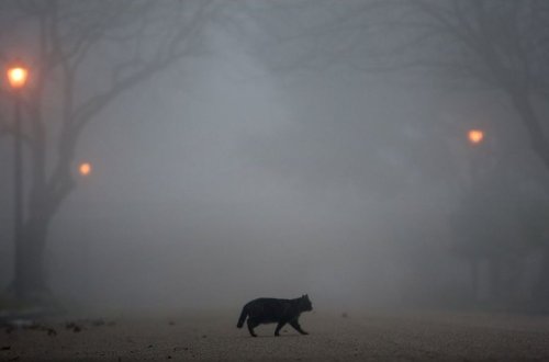Sinoptiklərdən sabaha olan hava xəbərdarlığı