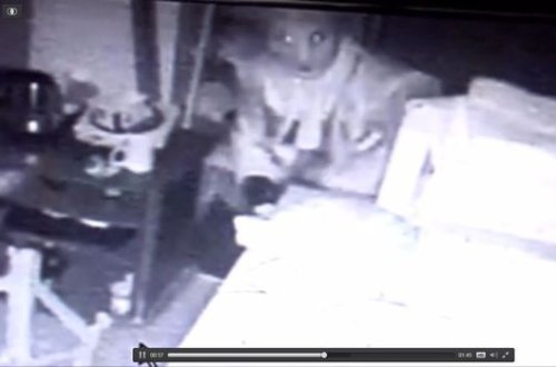 Bakıda oğurluq edən şəxs kameraya düşdü