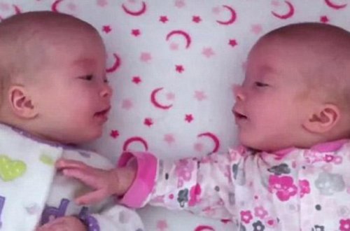 3 aylıq əkiz bacılar söhbətləşdilər