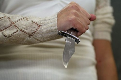 Sabiq məmurun qətlində təqsirləndirilən qadının məhkəməsi başladı