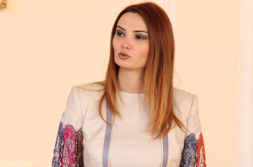 Millət vəkili rayon maşınlarının Bakıya buraxılmasındakı problemlərdən danışdı