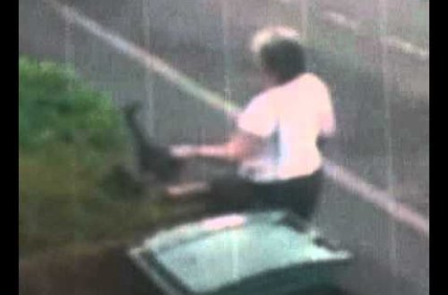 Pişiyə etdiklərinə görə məhkəməyə verildi