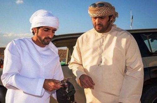 Nazir ərəb şeyxlərinin Azərbaycanda ov etməklərindən danışdı