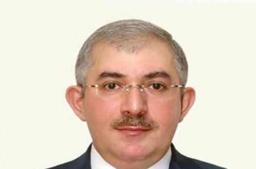 General Həzi Aslanov: 169 ton çətənə və xaş-xaş kolu məhv edilib