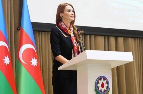 Millət vəkili Qənirə Paşayeva MM-də Qarabağ müharibəsi əlillərinin müavinətlərinin artırılmasından danışdı