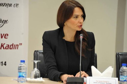 Qənirə Paşayeva Milli Məclisdə Tovuzla bağlı bir sıra təkliflərlə çıxış edib