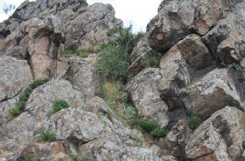 İnək otararkən qayadan yıxıldı