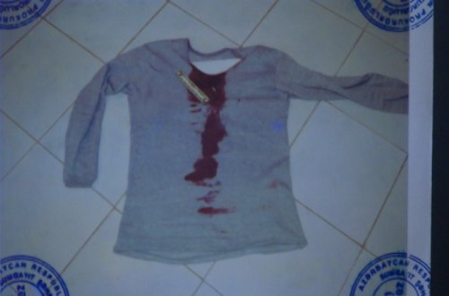 Qız şəklinə görə dostunu vəhşicəsinə öldürdü