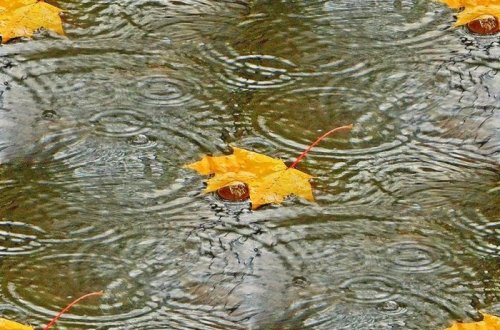 Yağışlı hava davam edəcək