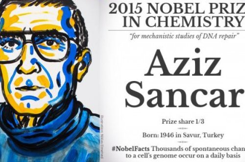 Türk alim Nobel aldı