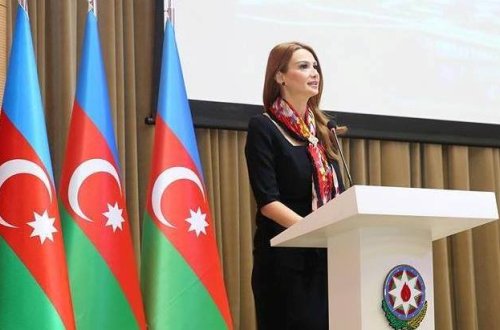 Millət vəkili Qənirə Paşayeva MM-də çıxış etdi