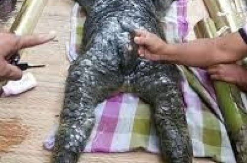 Dünya bu varlıqdan danışır