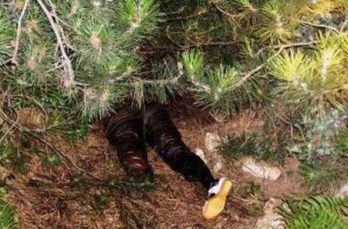 Azərbaycanda baş verən inanılmaz cinayətin