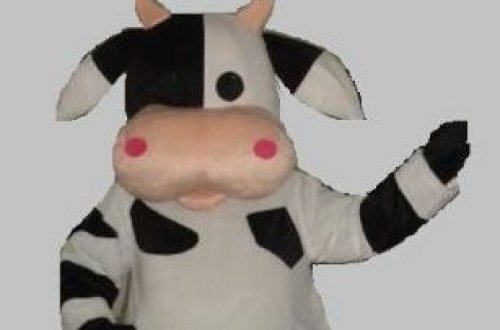 Xəstə atasına baxmaq üçün inək cildinə girir