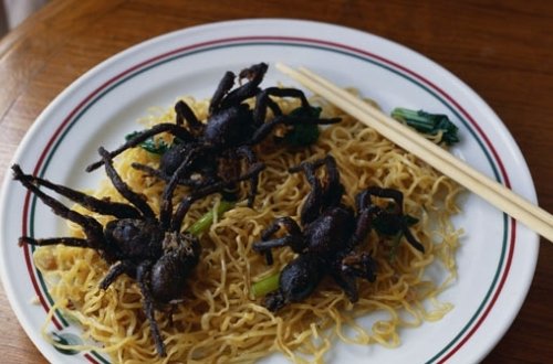 Dünya mətbəxlərində verilən ən iyrənc yeməklər - İŞTAHI ZƏİF OLANLAR OXUMASIN